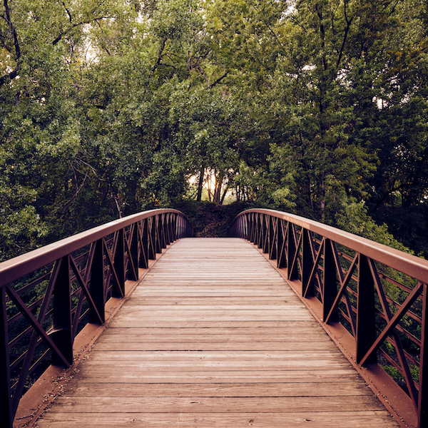 bridge, nature, forest / United States, Minnesota, Minneapolis